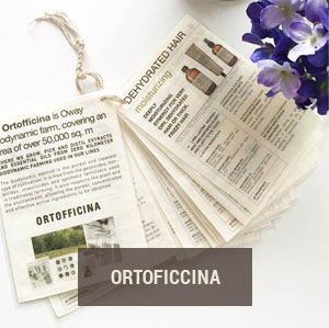 Ortoficcina